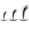Stainless Prostate Training Kit