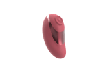 Pebble Pro