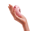 Pebble