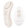 Hidden Pleasure Panty Vibrator with Remote