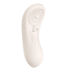 Hidden Pleasure Panty Vibrator with Remote