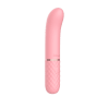 Slim Bullet