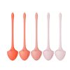 5pc Kegel Ball Set for Pelvic Floor Strengthening