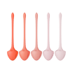 5pc Kegel Ball Set for Pelvic Floor Strengthening