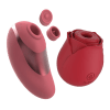 Pebble Pro + Rose