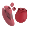 Pebble Pro + Rose