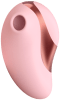 Pebble