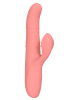 Advanced Bundle