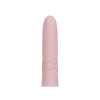 WhisperBullet™