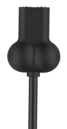 Anal Wand by Closet