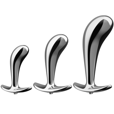 Stainless Prostate Training Kit by Bellesa