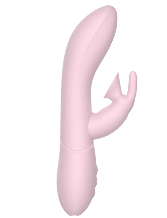 Air Rabbit