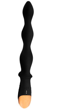 Anal Wand