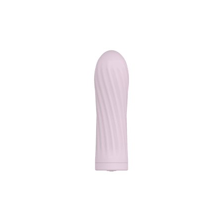 Mini Bullet