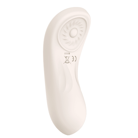 Hidden Pleasure Panty Vibrator with Remote