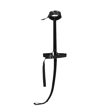 Restrained Body Restraint + Leash