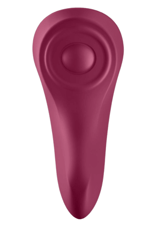 Satisfyer Sexy Secret Panty Vibrator