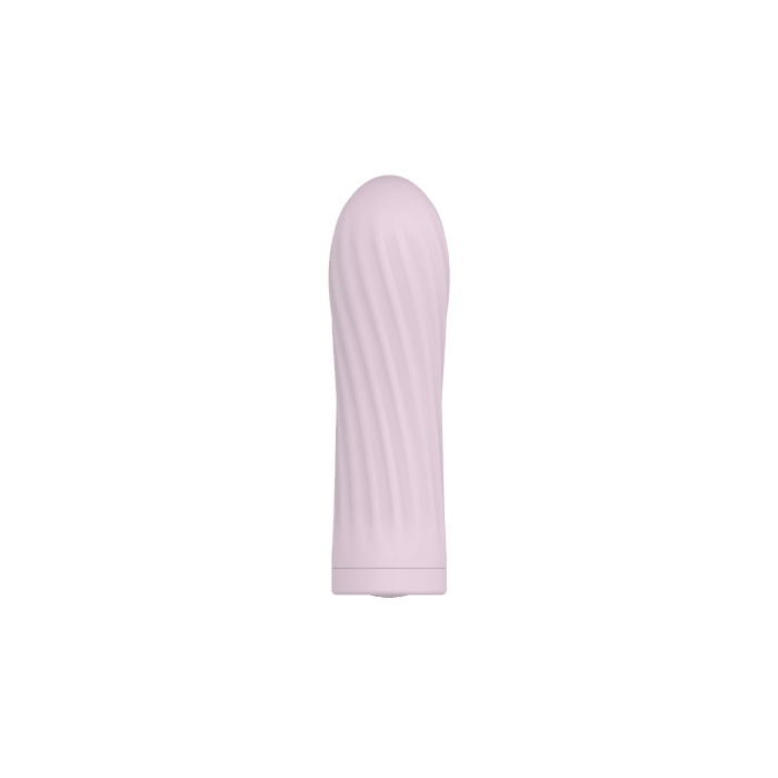 Mini Bullet