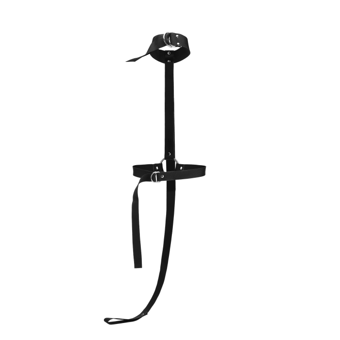 Restrained Body Restraint + Leash