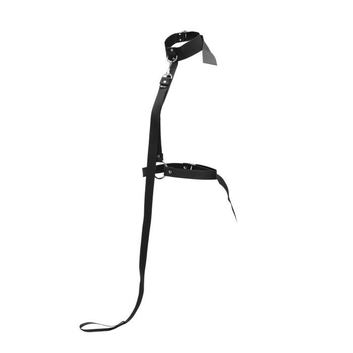 Restrained Body Restraint + Leash